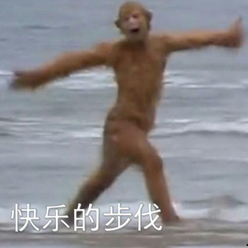 网红表情包孙悟空跳舞,孙悟空表情包舞蹈热潮来袭