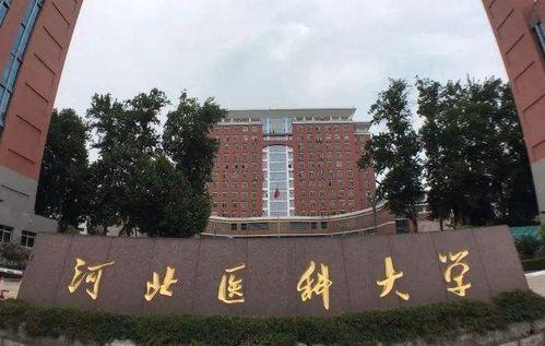 河北大学城爆料案件最新,真相揭开，校园安全警钟长鸣